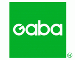 Gabaマンツーマン英会話